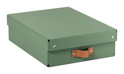 Úložný box, veľkosť M, nízky, LEITZ "Puro", zelený