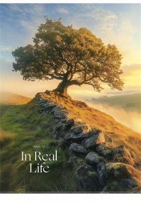 Zošit, A4, linajkový, 40 listov, SHKOLYARYK "In Real Life", mix