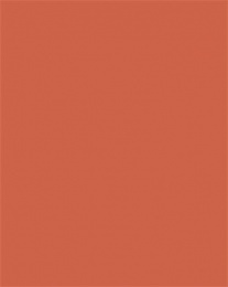 Dekoračný kartón, 2 stranný, 50x70 cm, 220 g, 10 listov, FOLIA, oranžový