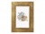 Obrazový rám, drevený, 10x15 cm, "Goldbuch Ian", zlatá